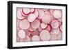 Fresh Radishes-Steve Gadomski-Framed Photographic Print