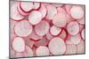 Fresh Radishes-Steve Gadomski-Mounted Photographic Print