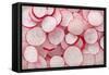 Fresh Radishes-Steve Gadomski-Framed Stretched Canvas