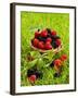 Fresh Raspberries and Blackberries in a Basket-Stuart MacGregor-Framed Photographic Print