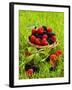 Fresh Raspberries and Blackberries in a Basket-Stuart MacGregor-Framed Photographic Print