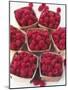 Fresh Raspberries in Punnets-Philip Webb-Mounted Photographic Print