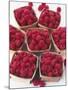 Fresh Raspberries in Punnets-Philip Webb-Mounted Photographic Print