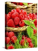 Fresh Raspberries in Two Baskets-Stuart MacGregor-Stretched Canvas