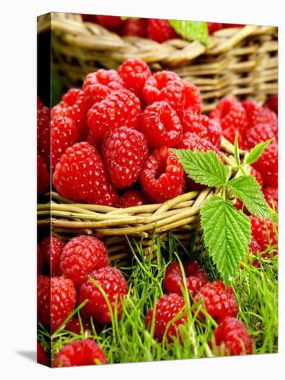 Fresh Raspberries in Two Baskets-Stuart MacGregor-Stretched Canvas