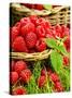 Fresh Raspberries in Two Baskets-Stuart MacGregor-Stretched Canvas