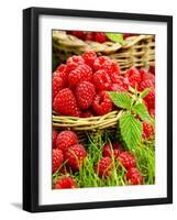 Fresh Raspberries in Two Baskets-Stuart MacGregor-Framed Premium Photographic Print