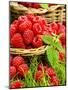 Fresh Raspberries in Two Baskets-Stuart MacGregor-Mounted Premium Photographic Print