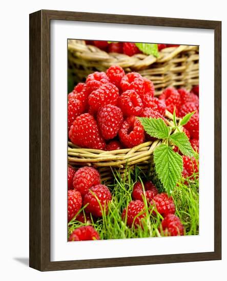 Fresh Raspberries in Two Baskets-Stuart MacGregor-Framed Photographic Print