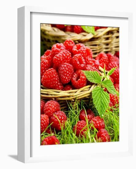 Fresh Raspberries in Two Baskets-Stuart MacGregor-Framed Photographic Print