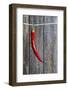 Fresh Red Chili Pepper Hanging on Rope in Front of Wooden Wall-Jana Ihle-Framed Photographic Print