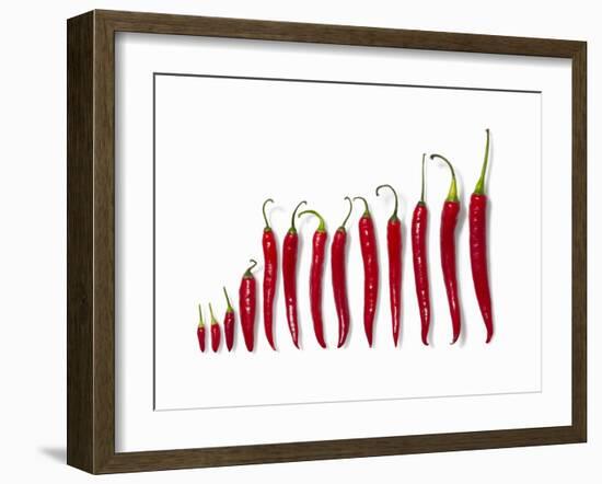 Fresh Red Chilli Peppers-null-Framed Photographic Print