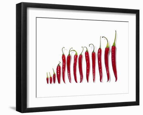 Fresh Red Chilli Peppers-null-Framed Photographic Print