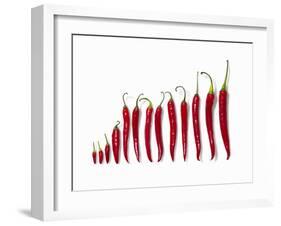 Fresh Red Chilli Peppers-null-Framed Photographic Print