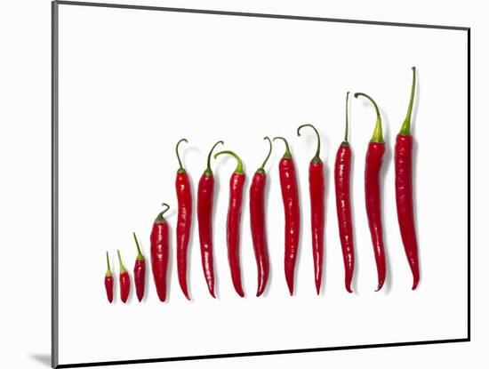 Fresh Red Chilli Peppers-null-Mounted Photographic Print