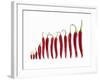 Fresh Red Chilli Peppers-null-Framed Photographic Print