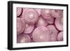 Fresh Red Onions-Steve Gadomski-Framed Photographic Print