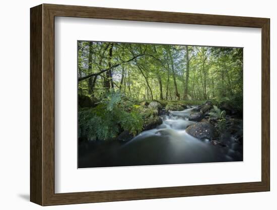 Fresh River-Philippe Manguin-Framed Photographic Print