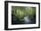 Fresh River-Philippe Manguin-Framed Photographic Print