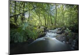 Fresh River-Philippe Manguin-Mounted Photographic Print