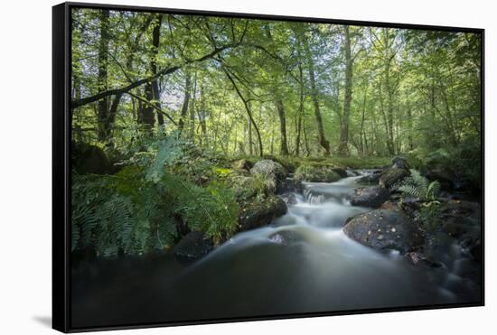 Fresh River-Philippe Manguin-Framed Stretched Canvas