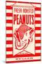 Fresh Roasted Peanuts-null-Mounted Art Print