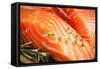 Fresh Salmon. Macro-Utima-Framed Stretched Canvas