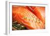 Fresh Salmon. Macro-Utima-Framed Photographic Print