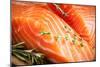 Fresh Salmon. Macro-Utima-Mounted Photographic Print