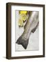 Fresh Salmon Trout, Salt and Lemons-Foodcollection-Framed Photographic Print