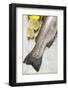 Fresh Salmon Trout, Salt and Lemons-Foodcollection-Framed Photographic Print