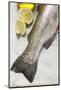 Fresh Salmon Trout, Salt and Lemons-Foodcollection-Mounted Photographic Print