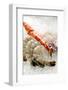 Fresh Seafood on Ice-Foodcollection-Framed Photographic Print