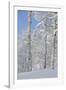 Fresh Snow, Big Cottonwood Canyon, Uinta Wasatch Cache Nf, Utah-Howie Garber-Framed Photographic Print