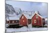 Fresh Snow Covering the Typical Norwegian Homes, the Rorbu, in the Lofoten Islands, Arctic, Norway-Roberto Moiola-Mounted Photographic Print