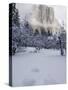 Fresh Snow Fall on El Capitan in Yosemite Valley, Yosemite National Park, California, USA-Kober Christian-Stretched Canvas