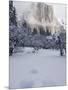 Fresh Snow Fall on El Capitan in Yosemite Valley, Yosemite National Park, California, USA-Kober Christian-Mounted Photographic Print