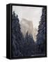 Fresh Snow Fall on El Capitan in Yosemite Valley, Yosemite National Park, California, USA-Kober Christian-Framed Stretched Canvas