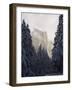 Fresh Snow Fall on El Capitan in Yosemite Valley, Yosemite National Park, California, USA-Kober Christian-Framed Photographic Print