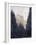 Fresh Snow Fall on El Capitan in Yosemite Valley, Yosemite National Park, California, USA-Kober Christian-Framed Photographic Print