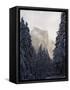 Fresh Snow Fall on El Capitan in Yosemite Valley, Yosemite National Park, California, USA-Kober Christian-Framed Stretched Canvas