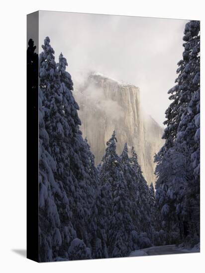 Fresh Snow Fall on El Capitan in Yosemite Valley, Yosemite National Park, California, USA-Kober Christian-Stretched Canvas