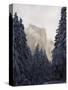 Fresh Snow Fall on El Capitan in Yosemite Valley, Yosemite National Park, California, USA-Kober Christian-Stretched Canvas