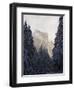 Fresh Snow Fall on El Capitan in Yosemite Valley, Yosemite National Park, California, USA-Kober Christian-Framed Photographic Print