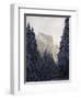 Fresh Snow Fall on El Capitan in Yosemite Valley, Yosemite National Park, California, USA-Kober Christian-Framed Photographic Print