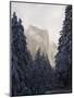 Fresh Snow Fall on El Capitan in Yosemite Valley, Yosemite National Park, California, USA-Kober Christian-Mounted Photographic Print