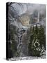 Fresh Snow Fall on Yosemite Falls, Yosemite Valley, Yosemite National Park, California, USA-Kober Christian-Stretched Canvas