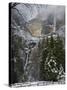 Fresh Snow Fall on Yosemite Falls, Yosemite Valley, Yosemite National Park, California, USA-Kober Christian-Stretched Canvas