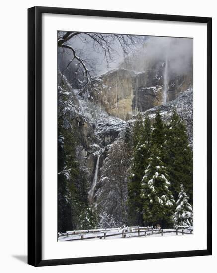 Fresh Snow Fall on Yosemite Falls, Yosemite Valley, Yosemite National Park, California, USA-Kober Christian-Framed Photographic Print