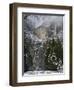 Fresh Snow Fall on Yosemite Falls, Yosemite Valley, Yosemite National Park, California, USA-Kober Christian-Framed Photographic Print